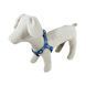 Шлея капронова Lucky Pet Символіка, 10мм/26-40см 191723 фото 2
