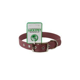 Нашийник з водонепроникної стрічки з металевою пряжкою Бордовий Lucky Pet, 2.5/30-40 см 216959 фото