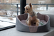 Лежак Lucky Pet Мішель Сірий, 32x43x22 см 211107 фото 3