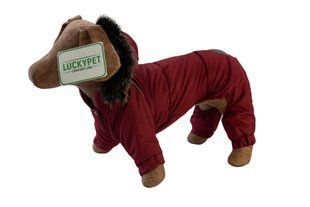 Lucky Pet Костюм Соло бордовий L №1, 29 х 46 см 483126 фото