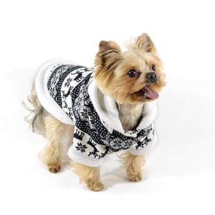 Lucky Pet Толстовка Рубік L №1, 29 х 46 см 483145 фото