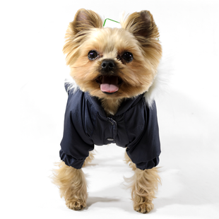 Lucky Pet Костюм Соло синій L №1, 29 х 46 см 483127 фото