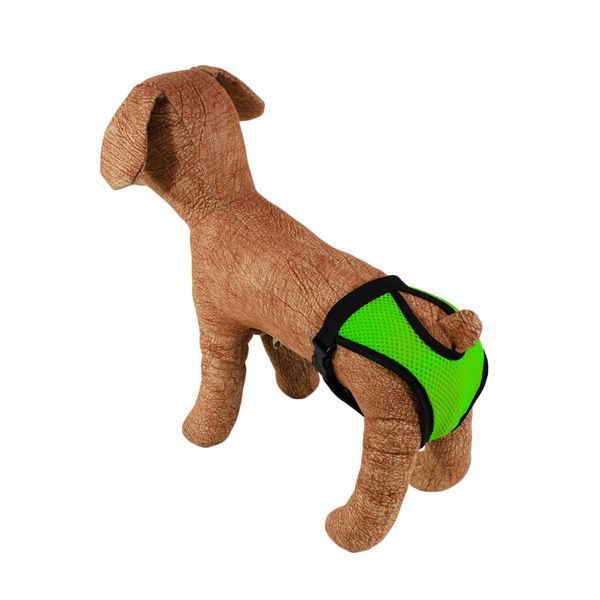 Труси гігієнічні для собак Lucky Pet салатові (43см-51см), розмір М 190306 фото