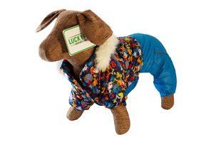 Lucky Pet Комбінезон Зірочка синій L №1, 29 х 46 см 483106 фото